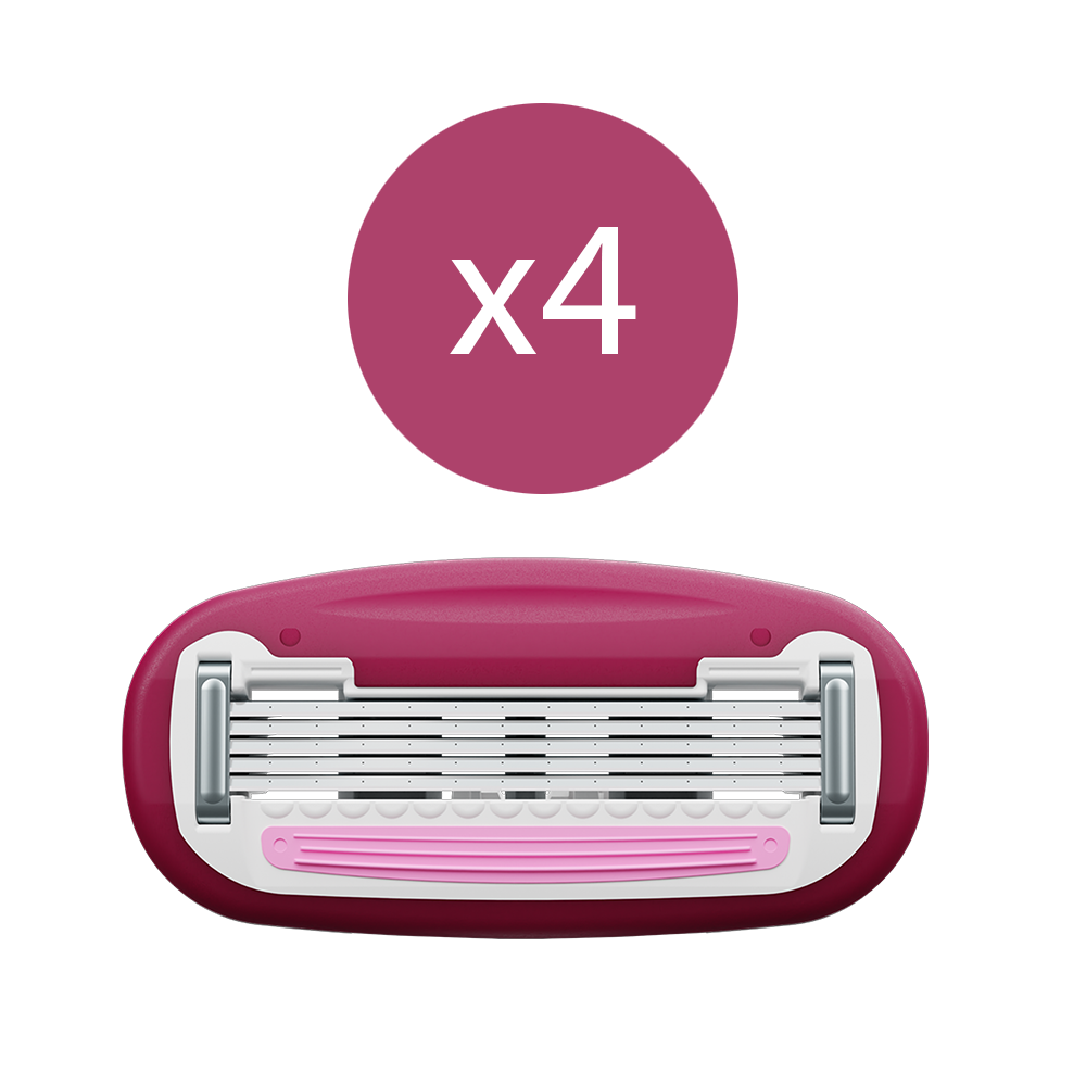 Mornin Glory Komodo Starter Kit für glatte Haut